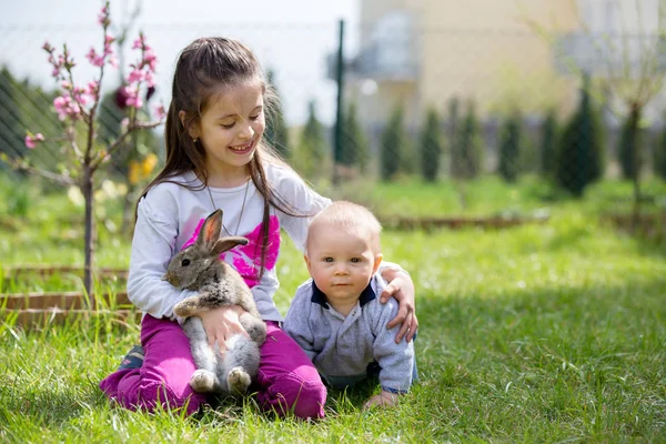 Κοριτσάκι και το μωρό της αδελφό, παίζοντας με λευκό κουνέλι στην p — Φωτογραφία Αρχείου