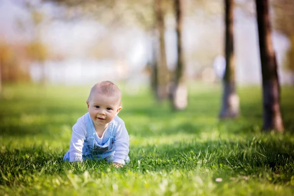 Carino il bambino bambino, che gioca nel giardino dei fiori di ciliegio. Bambino w — Foto Stock