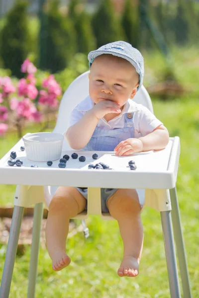 Szczęśliwy toddler chłopiec, jeść jagody w ogrodzie na słoneczny sterow — Zdjęcie stockowe