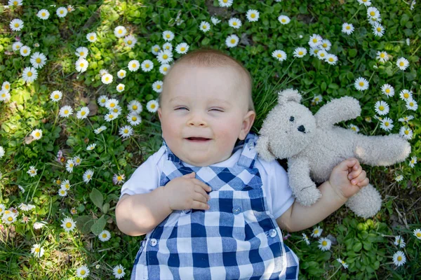 Симпатичный малыш с плюшевым мишкой, сидит на траве, ромашки — стоковое фото
