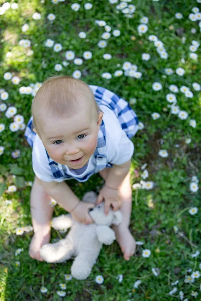 Lindo niño con oso de peluche, sentado en la hierba, margaritas —  Fotos de Stock