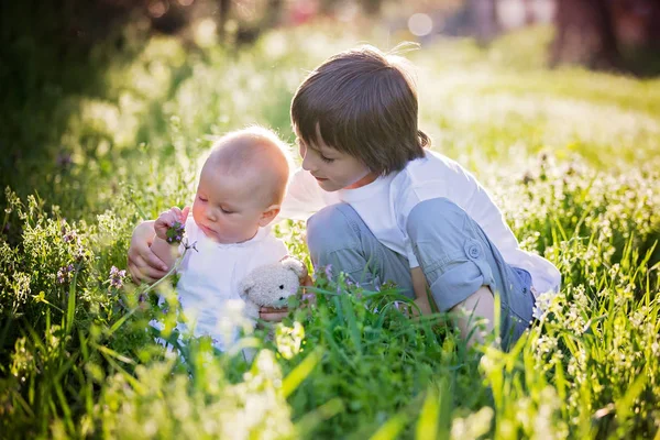 Preschool child, hugging and kissing his sweet toddler baby boy — Stock Photo, Image