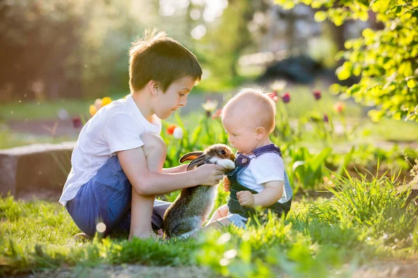 Niño en edad preescolar, abrazando y besando a su dulce bebé —  Fotos de Stock