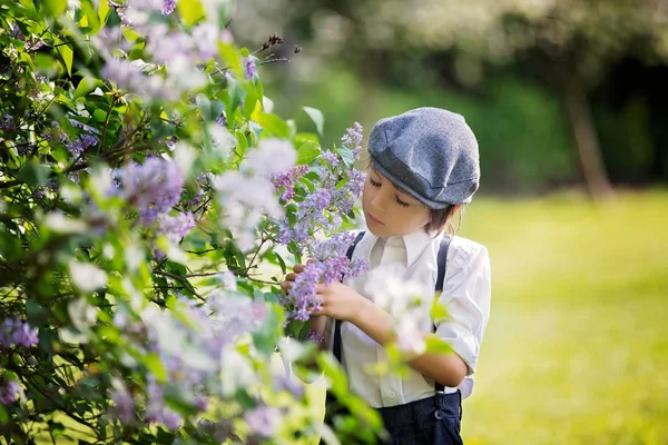 Petit garçon d'âge préscolaire, mignon enfant, habillé en tissu de style vintage — Photo