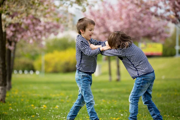 Due bambini, fratelli, che combattono in un parco — Foto Stock