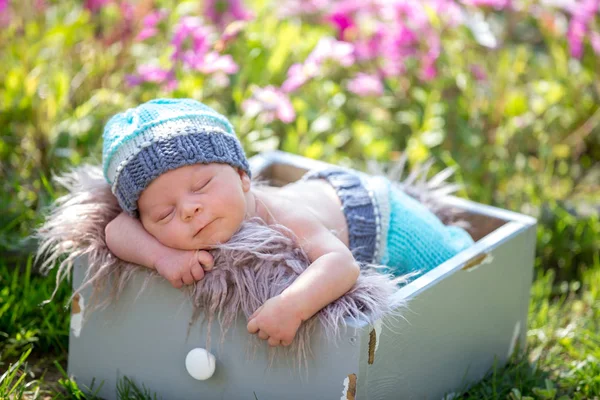 Ładny nowonarodzonego chłopca, śpi spokojnie w koszyku w ogrodzie — Zdjęcie stockowe
