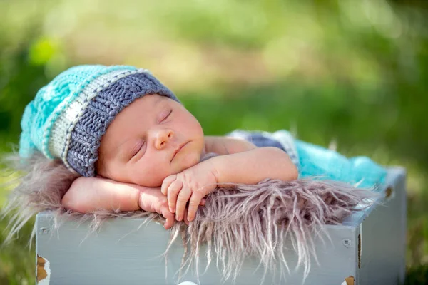 Cute newborn baby boy, sleeping peacefully in basket in garden — Stock Photo, Image