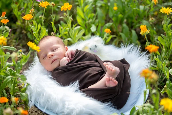 Cute newborn baby boy, sleeping peacefully in basket in garden — Stock Photo, Image
