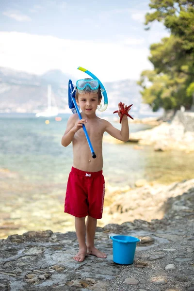 Ragazzino con in mano cinque stelle marine rosse — Foto Stock