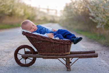Çok güzel yürümeye başlayan çocuk, bir kırsal üzerinde küçük tavşan ile oynayan çocuk