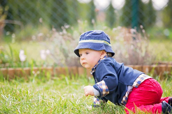 Sweet toddler boy in garden, child playing with little bunny, sp — Stock Photo, Image