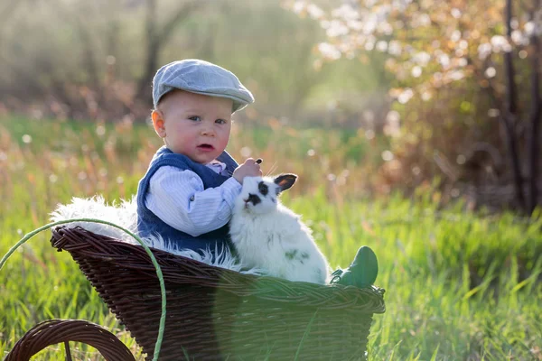 Bonito menino no carrinho em um jardim florido com pouco — Fotografia de Stock