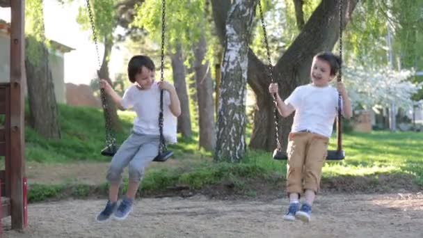 Çocuk Erkek Kardeşler Bir Salıncağa Eğleniyor — Stok video