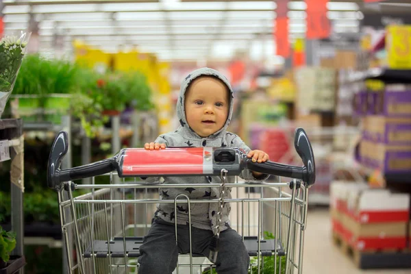 Toddler baby boy, sitting in a shopping cart in grocery store, s — Stock Photo, Image