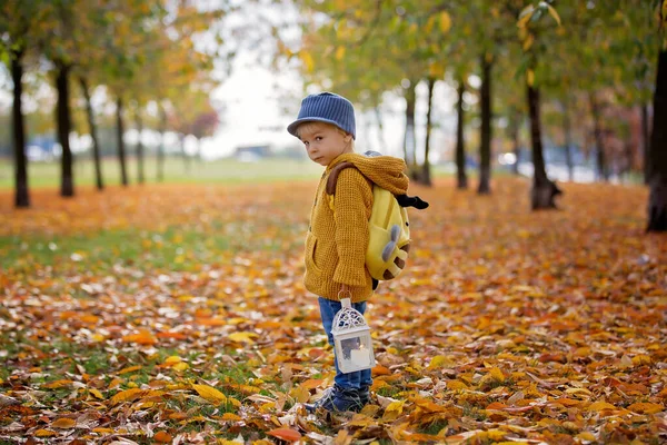 美しいファッション幼児の男の子、 hのランタンと公園を歩く — ストック写真