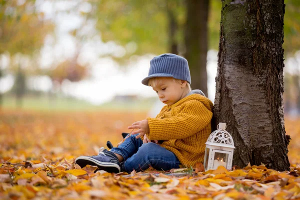 Beautiful fashion toddler boy, reading a book in park with lante — Stock Photo, Image