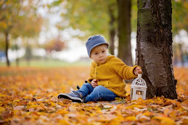 漂亮的童装男孩，坐在公园里，提着灯笼 — 图库照片