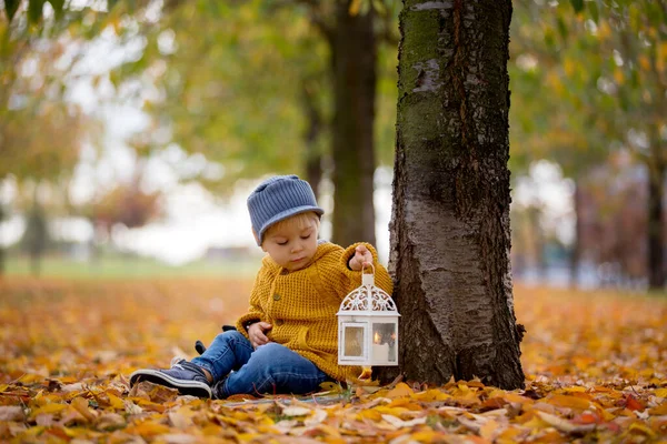 Beautiful fashion toddler boy, sitting in park with lantern in h — Stock Photo, Image