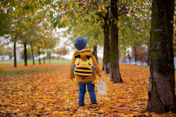 Beautiful fashion toddler boy, walking in park with lantern in h — Stock Photo, Image