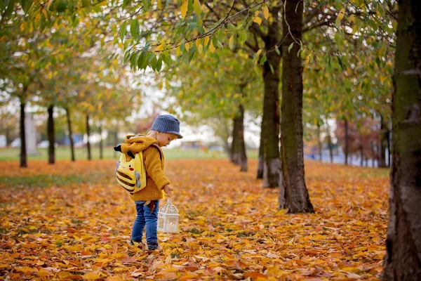 Piękny chłopiec moda maluch, spacery w parku z latarnią w h — Zdjęcie stockowe
