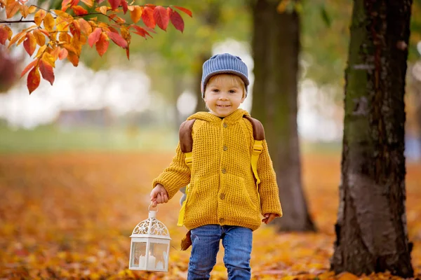 Beautiful fashion toddler boy, walking in park with lantern in h — Stock Photo, Image