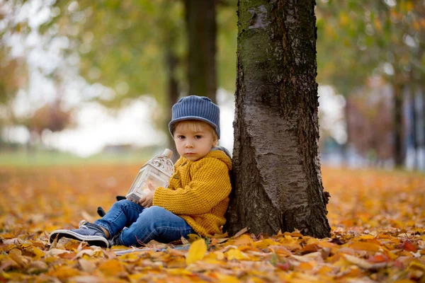 Vackert mode småbarn pojke, sitter i parken med lykta i h — Stockfoto