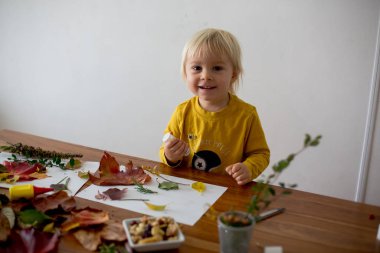 Tatlı çocuk, küçük çocuk, Yaprakları yapıştırıcı kullanıyor.