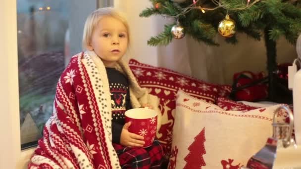クリスマス パジャマの甘い幼児の男の子 クリスマスツリーの近くのウィンドウに座って 牛乳を飲んで サトナ クラウスを待っています — ストック動画