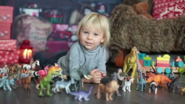 Dulce Niño Rubio Jugando Con Animales Plástico Dinosaurios Casa Decoración — Vídeos de Stock