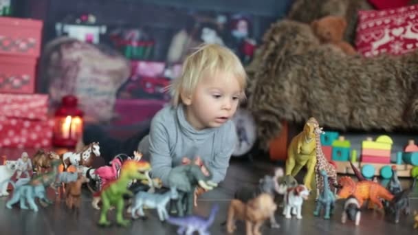 Sweet Blonde Toddler Boy Playing Plastic Animals Dinosaurs Home Christmas — Stock Video