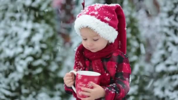 Милий Малюк Тримає Чашу Гарячим Молоком Надворі Під Снігом Насолоджується — стокове відео