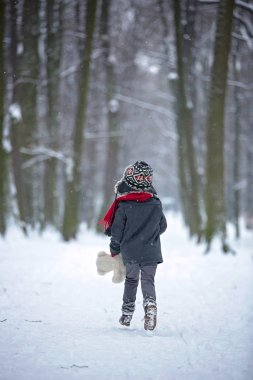 Üzgün kayıp çocuk, çocuk oyuncak ayı, bir orman içinde kış