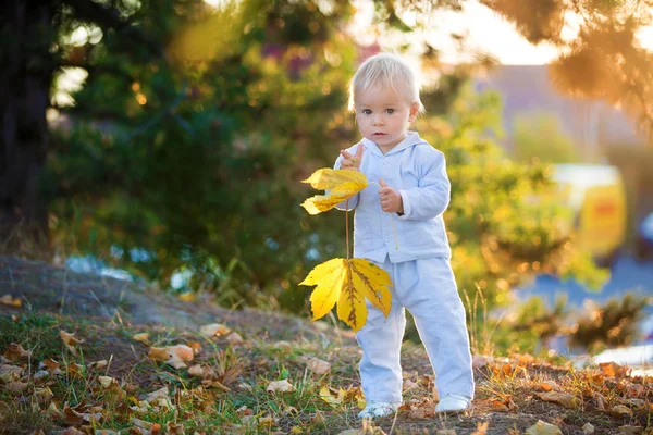 Sevimli sarışın bebek bebek çocuk peluş ile sonbahar parkta yürüyüş — Stok fotoğraf