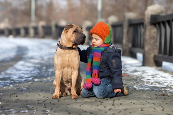 Mały chłopiec w parku ze swoimi psimi przyjaciółmi — Zdjęcie stockowe