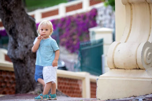 Bellissimo ritratto di giovane bambino ragazzo, che tiene il fiore, standin — Foto Stock