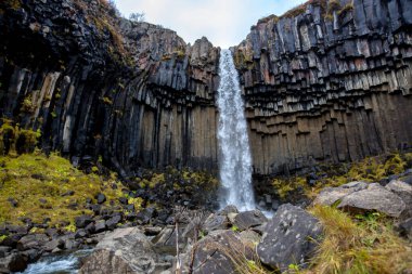 Aerial view of beautiful waterfall Svartifoss in Skaftafell nati