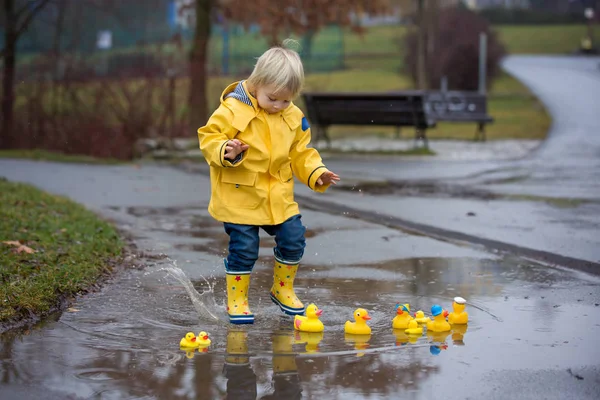 Beautiful funny blonde toddler boy with rubber ducks and colorfu — Stock Photo, Image