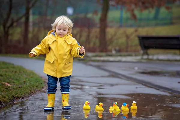 Beautiful funny blonde toddler boy with rubber ducks and colorfu — Stock Photo, Image