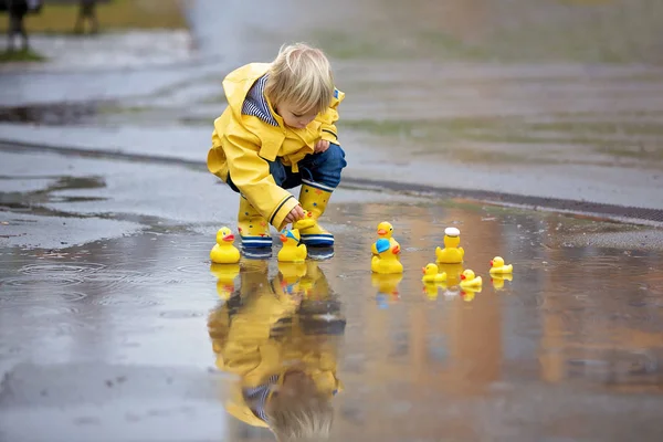 Beautiful funny blonde toddler boy with rubber ducks and colorfu — Stok fotoğraf