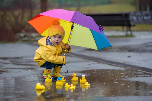 Beautiful funny blonde toddler boy with rubber ducks and colorfu — 스톡 사진