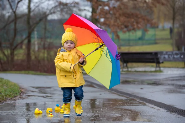 Beautiful funny blonde toddler boy with rubber ducks and colorfu — Stockfoto