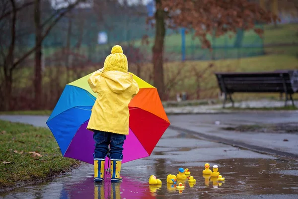 Beautiful funny blonde toddler boy with rubber ducks and colorfu — Stockfoto