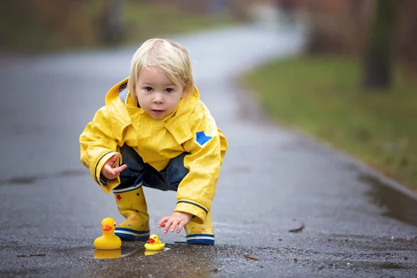 Linda engraçada loira criança menino com patos de borracha e colorfu — Fotografia de Stock
