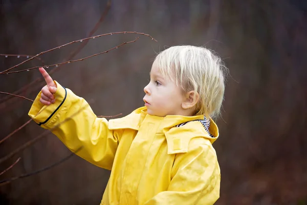 Bella bionda divertente bambino ragazzo, guardando la pioggia gocce su un reggiseno — Foto Stock
