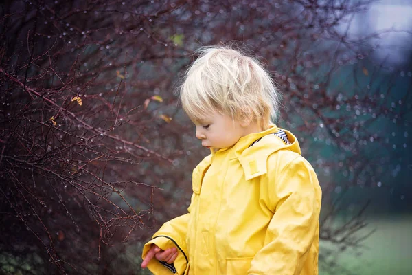 Beautiful funny blonde toddler boy, watching rain drops on a bra — Stok fotoğraf
