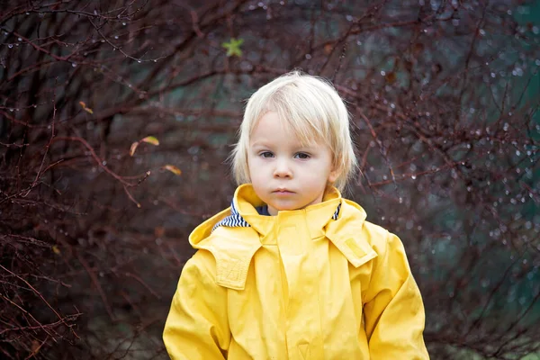 Beautiful funny blonde toddler boy, watching rain drops on a bra — Stock Photo, Image