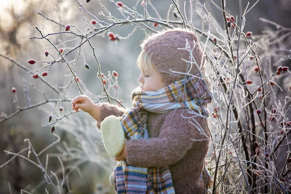 Bellissimo bambino ragazzo, vestito in maglia vestito con cappello e sc — Foto Stock