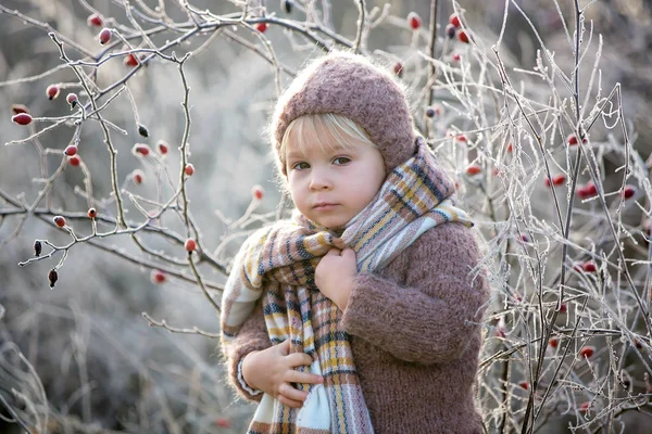 Schöner kleiner Junge, gekleidet in einem Strickkostüm mit Hut und Sc — Stockfoto