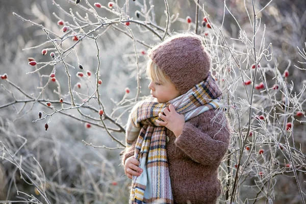 Bellissimo bambino ragazzo, vestito in maglia vestito con cappello e sc — Foto Stock