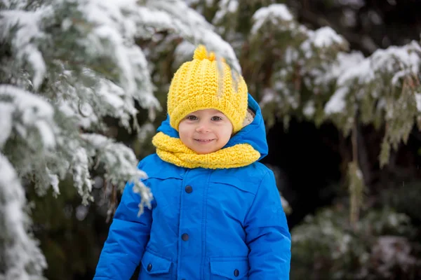 Menino doce, brincando com neve no playground — Fotografia de Stock